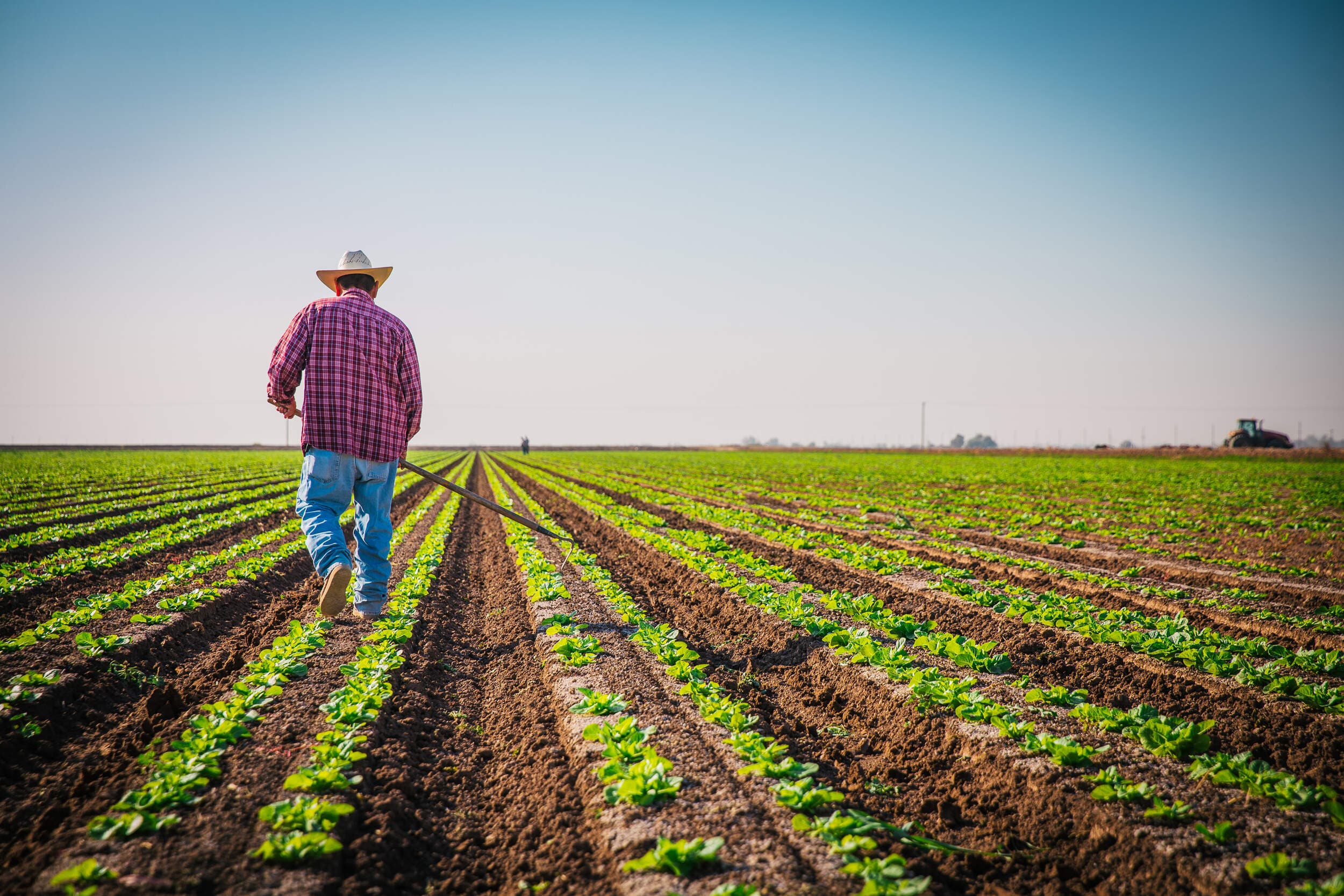 Agriculture and farming lifestyle photography on California's Central Coast